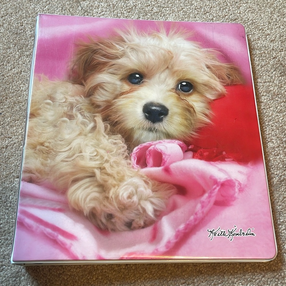 1 inch ring binder and wide ruled notebook brand new never used